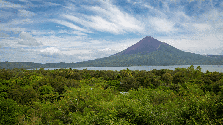 00000000000262.png - 158,19 kB